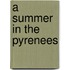 A Summer In The Pyrenees