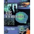Aids In The Modern World