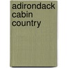 Adirondack Cabin Country door Paul Schaefer