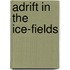 Adrift In The Ice-Fields