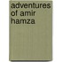 Adventures Of Amir Hamza
