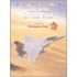 Air War in the Gulf 1991