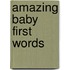 Amazing Baby First Words