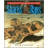 Aquarium Sharks And Rays by Scott W. Michael
