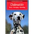 Dalmatier