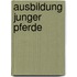 Ausbildung junger Pferde