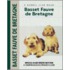 Basset Fauve de Bretagne