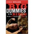 Big Dummies of the Bible