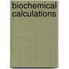 Biochemical Calculations door Irwin H. Segel