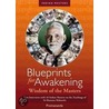 Blueprints For Awakening door Swami Premananda