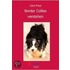 Border Collies verstehen