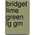 Bridget Lime Green Lg Gm
