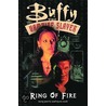 Buffy The Vampire Slayer door Ryan Sook