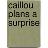 Caillou Plans a Surprise door Joceline Sanschagrin