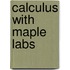 Calculus With Maple Labs