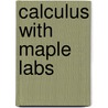 Calculus With Maple Labs by Wieslaw Krawcewicz