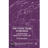 Celtic Tiger in Distress by Peader Kirby