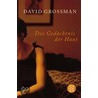 Das Gedächtnis der Haut door David Grossman