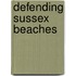 Defending Sussex Beaches
