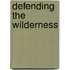Defending The Wilderness