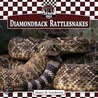 Diamondback Rattlesnakes by Megan M. Gunderson