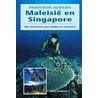 Maleisie en Singapore by Joshilyn Jackson