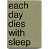 Each Day Dies With Sleep