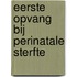 Eerste opvang bij perinatale sterfte