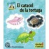 El Caracol de la Tortuga