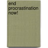 End Procrastination Now! door William Knaus