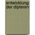 Entwicklung Der Dipteren