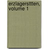 Erzlagersttten, Volume 1 by Alfred Wilhelm Stelzner
