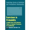 Exercises In Probability door Marc Yor