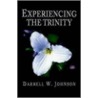 Experiencing The Trinity by Darrell W. Johnson