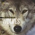 Face To Face With Wolves