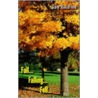 Fall...Falling...Fell... by Sam Navarino