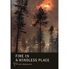 Fire In A Windless Place by Joseph Roccasalvo