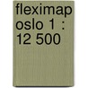 Fleximap Oslo 1 : 12 500 door Onbekend