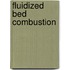 Fluidized Bed Combustion