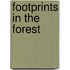 Footprints In The Forest