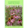 Een tuin a la Ton