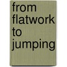 From Flatwork To Jumping door Anne-Katrin Hagen