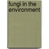 Fungi In The Environment