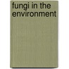 Fungi In The Environment by Geoffrey Gadd