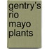 Gentry's Rio Mayo Plants