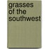 Grasses of the Southwest