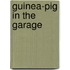 Guinea-Pig In The Garage