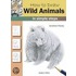 How To Draw Wild Animals