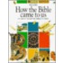 How the Bible Came to Us