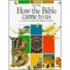 How the Bible Came to Us door Meryl Doney
